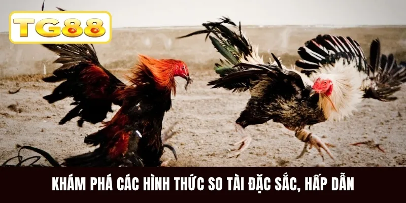 Khám phá các hình thức so tài đặc sắc, hấp dẫn