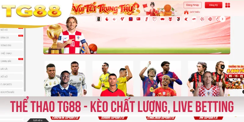 Thể Thao TG88 - Bảng Kèo Chất Lượng, Hỗ Trợ Live Betting