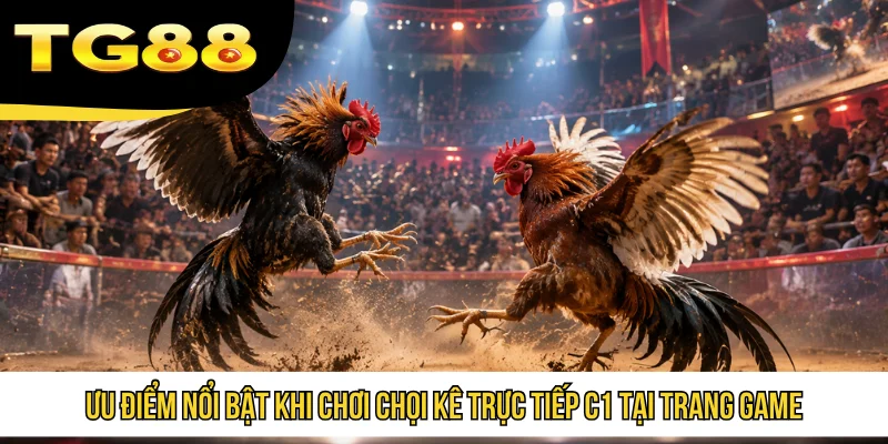 Ưu điểm nổi bật khi chơi chọi kê trực tiếp C1 tại trang game